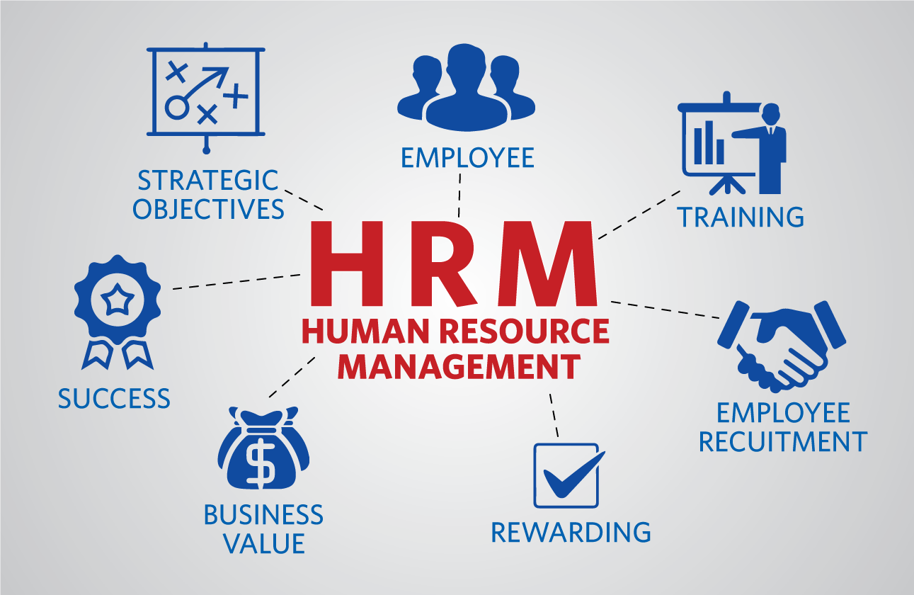 best human resource management software